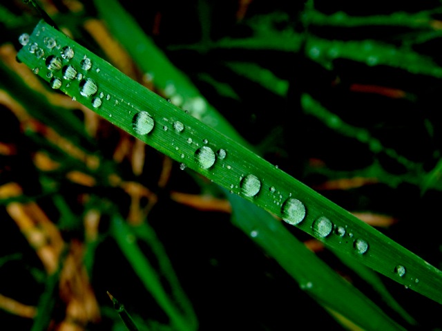 雨の週末 Non Tanto