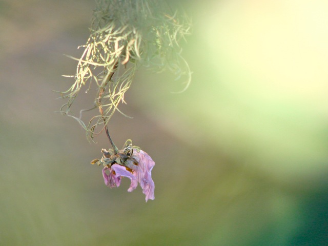 060925