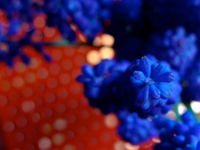 Du04 Du04