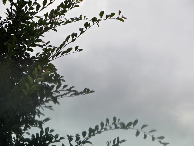 Ws03 Ws03