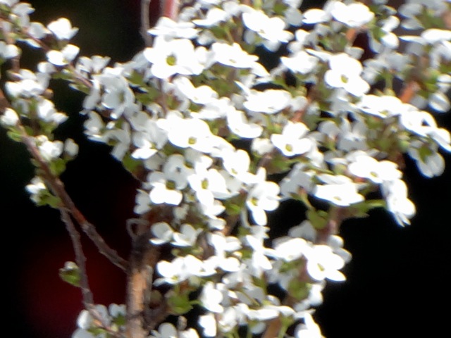Rw09