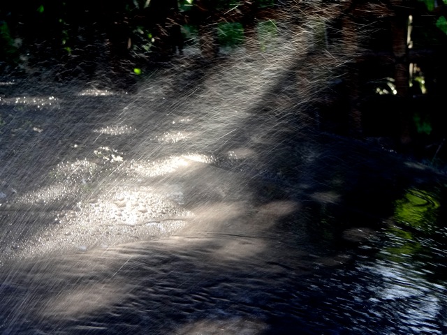 Ws06 Ws06