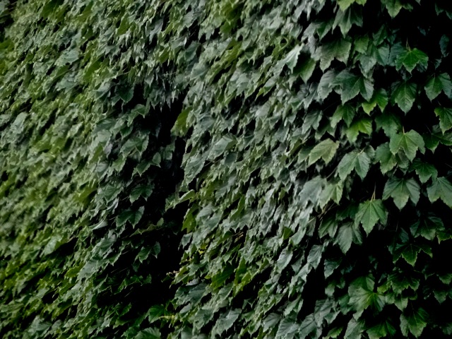 Ws05 Ws05