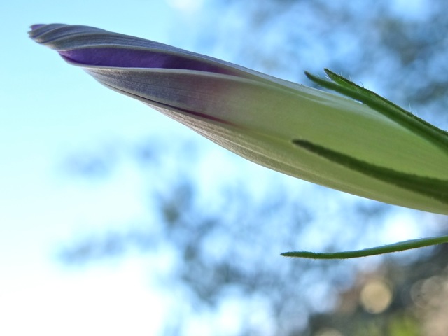 Ab02 Ab02