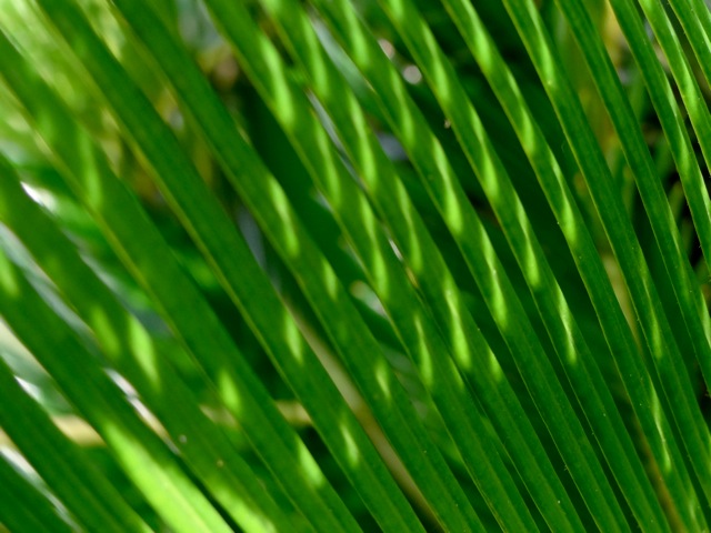Cr06 Cr06