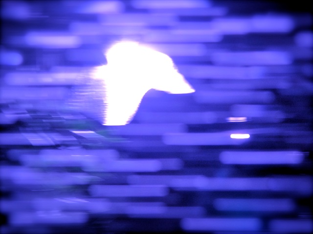 Wp06 Wp06