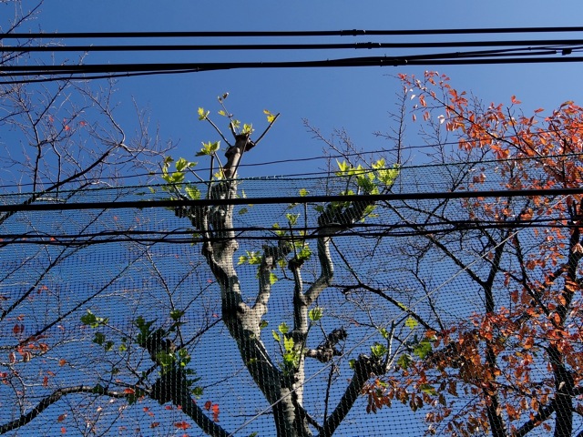 Es05 Es05