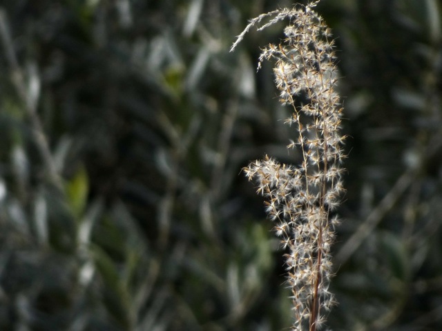 Ms02 Ms02