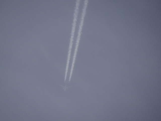 Pc10