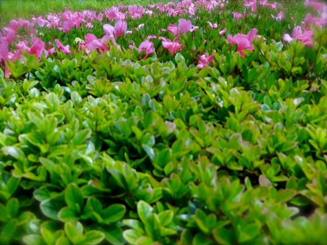 Lk05 Lk05