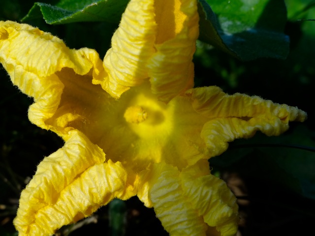 Sb09 Sb09