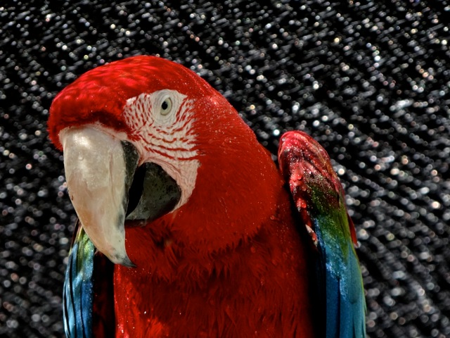 Mc03 Mc03