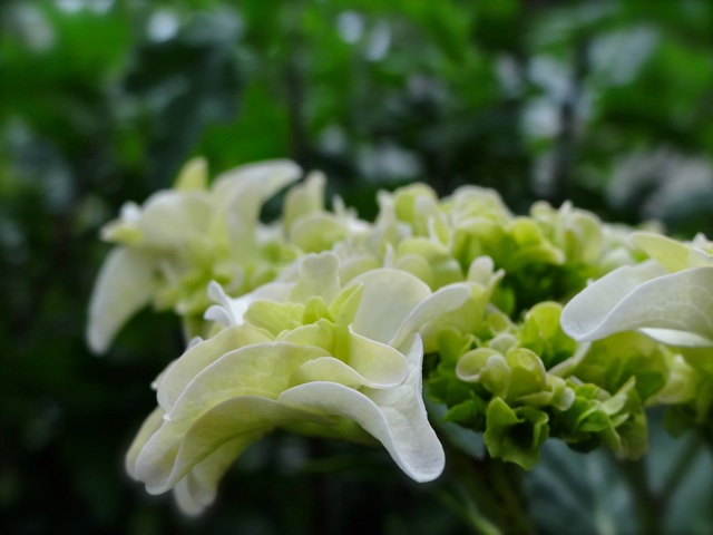 Lk03 Lk03
