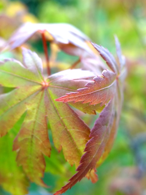 Sb04 Sb04