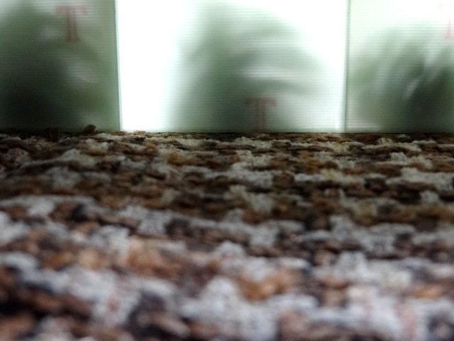 Cc11 Cc11