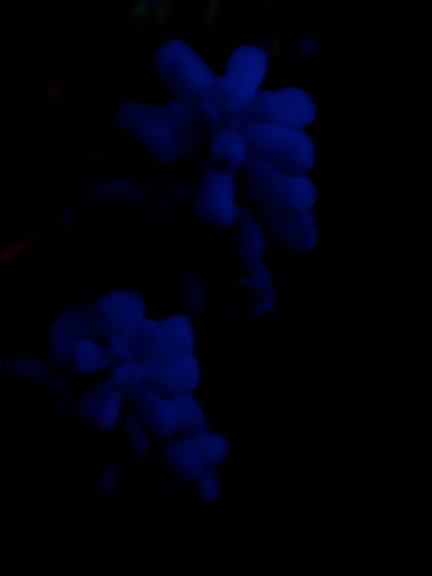 Pg12
