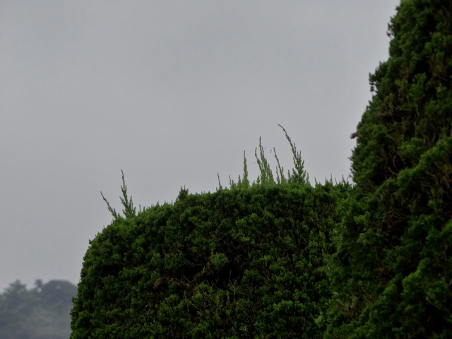 Gc07 Gc07