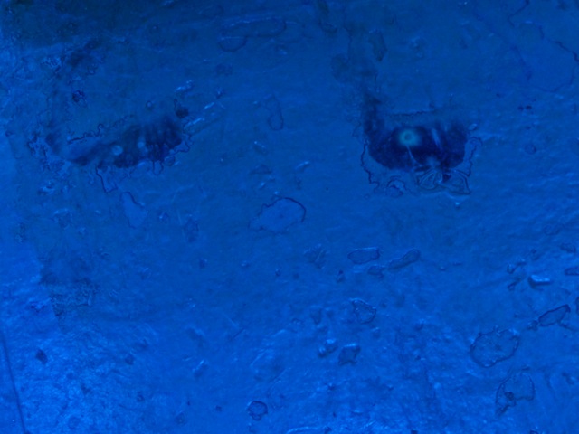 Fc01