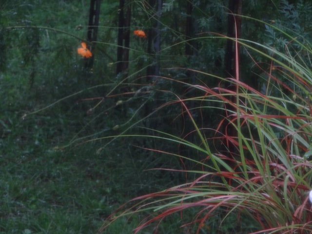 Sm02 Sm02
