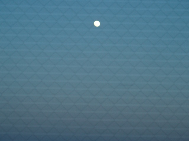 Sf01