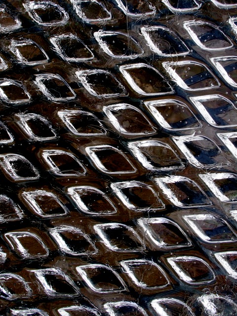 Ii11 Ii11