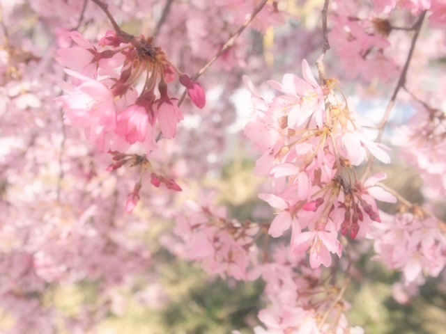 Ch03 Ch03