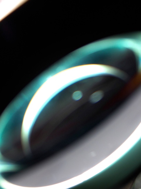 Ln7 Ln7