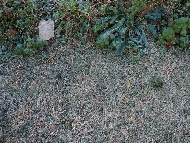 Cm7 Cm7