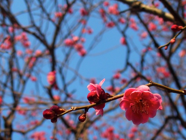 Pr04 Pr04