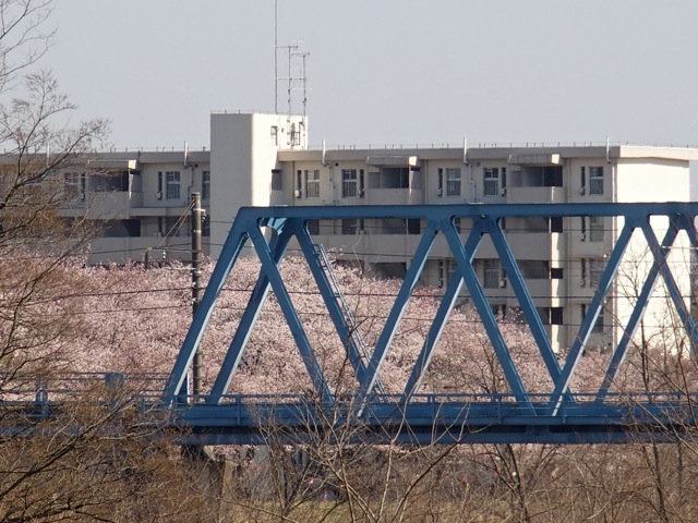 508 508