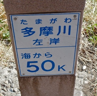 512 512