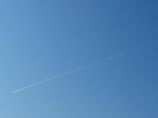 Sc8