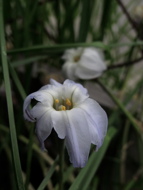 Hn8