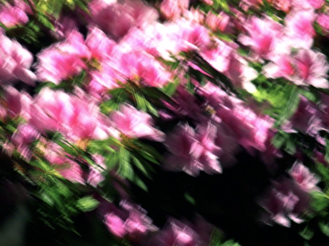 Tt09 Tt09