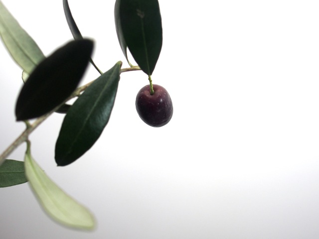 Ho7