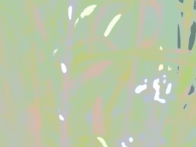 Rg4