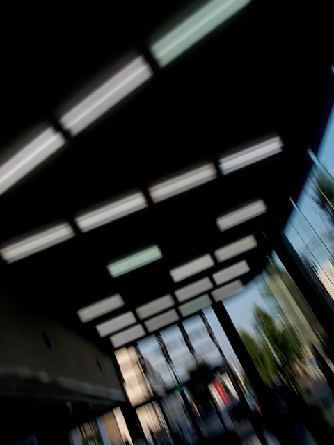 Dl2