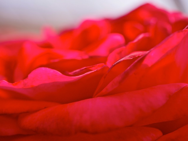 Bg1203 Bg1203