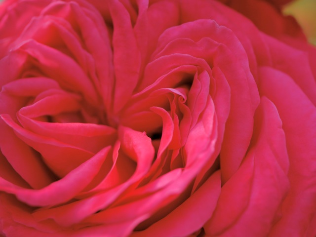 Bg1206 Bg1206
