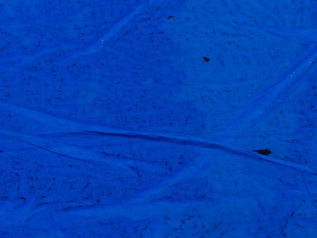 Bc7