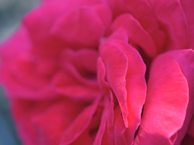 Bg1202 Bg1202