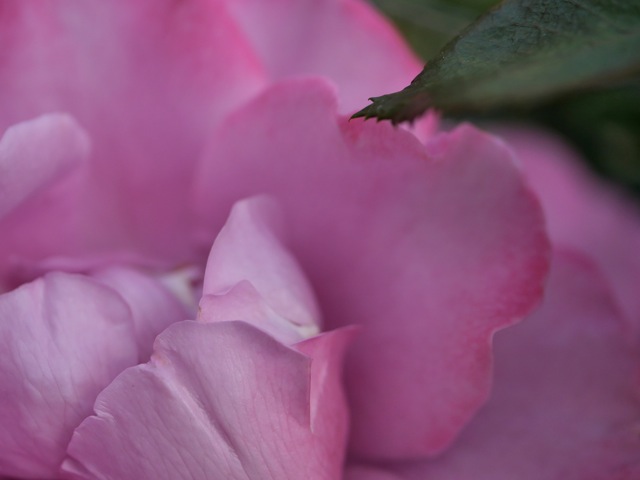 Bg1207 Bg1207