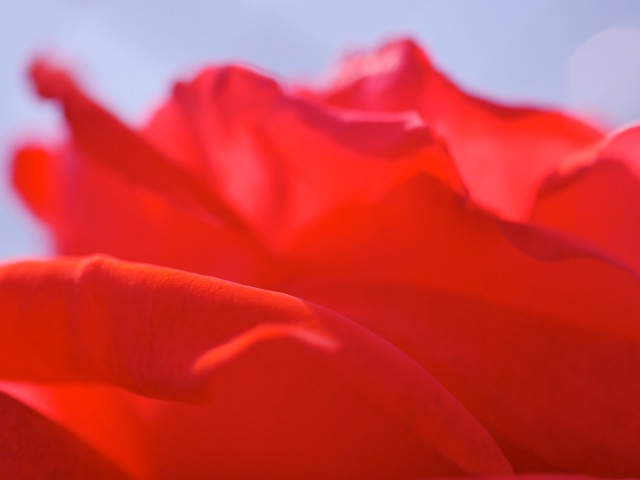Bg1205 Bg1205