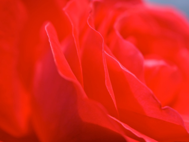 Bg1208 Bg1208