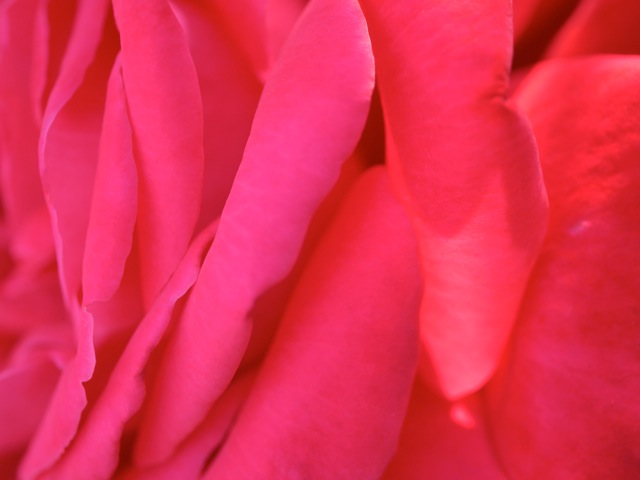 Bg1209 Bg1209