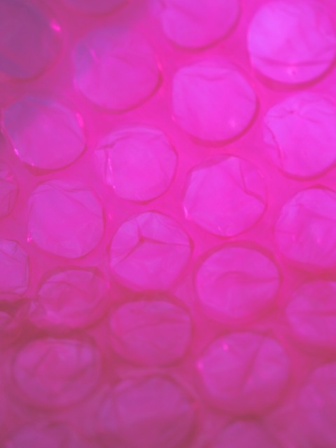 Pp7