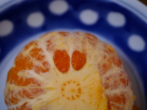 Fc2 Fc2