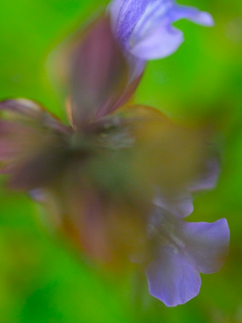 Sg6 Sg6