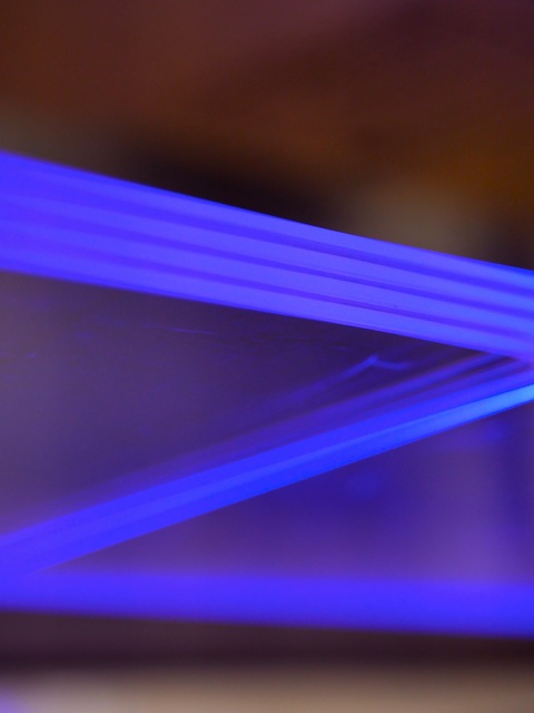 Ef1