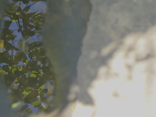 Wp7 Wp7